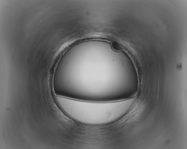 X0000091471404200708161118