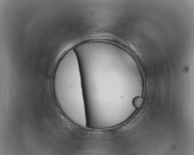 X0000091471405200708161118