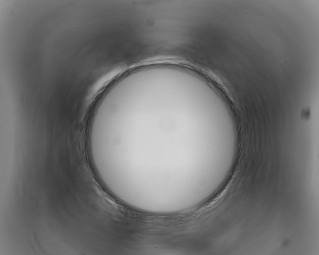X0000091471406200708161118