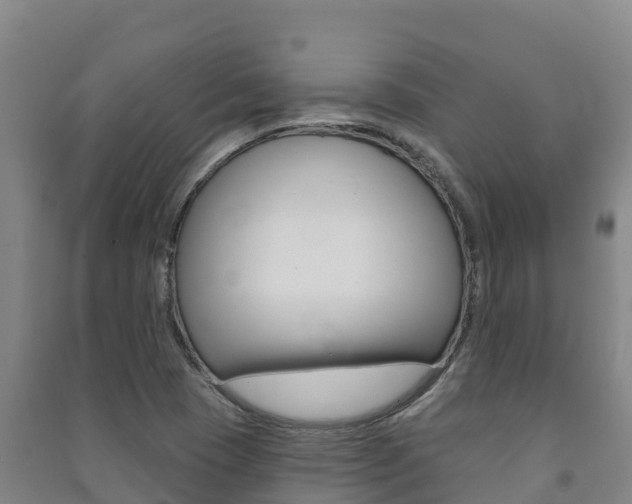 X0000091471409200708161118