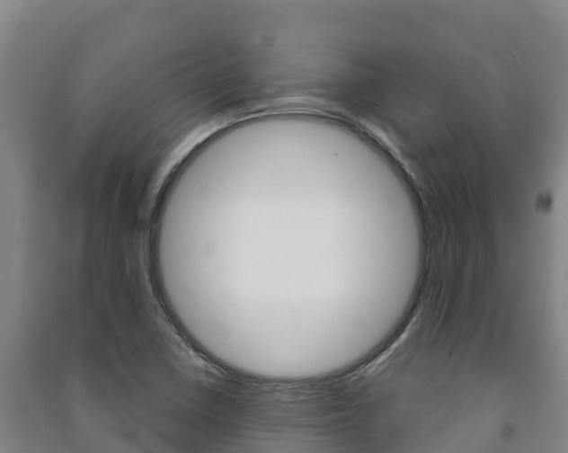 X0000091471410200708161118