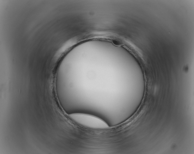 X0000091471411200708161118