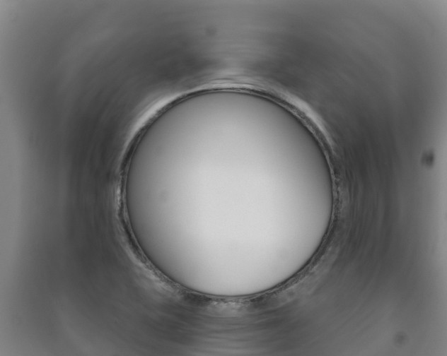X0000091471415200708161118