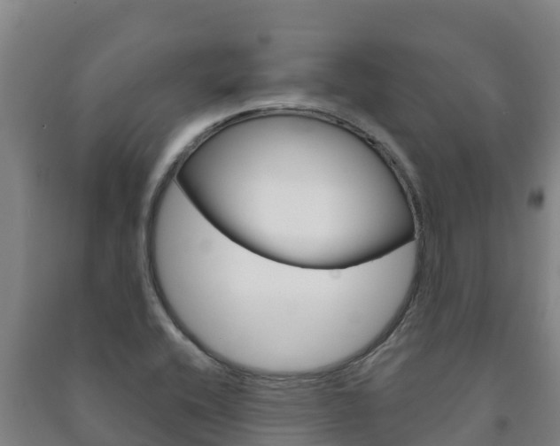 X0000091471416200708161118