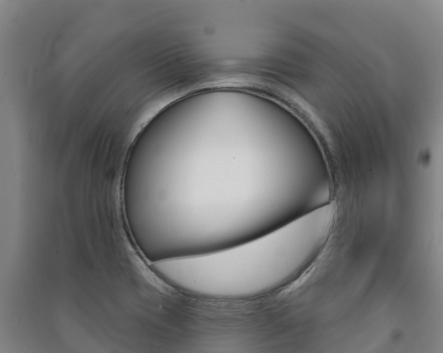X0000091471417200708161118