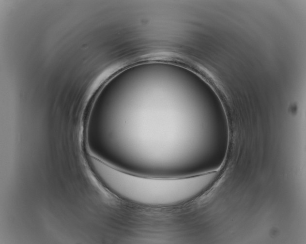 X0000091471418200708161118