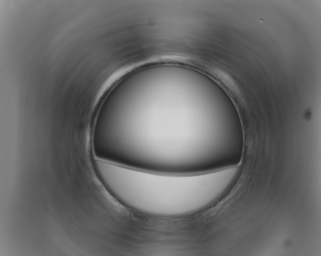 X0000091471420200708161118