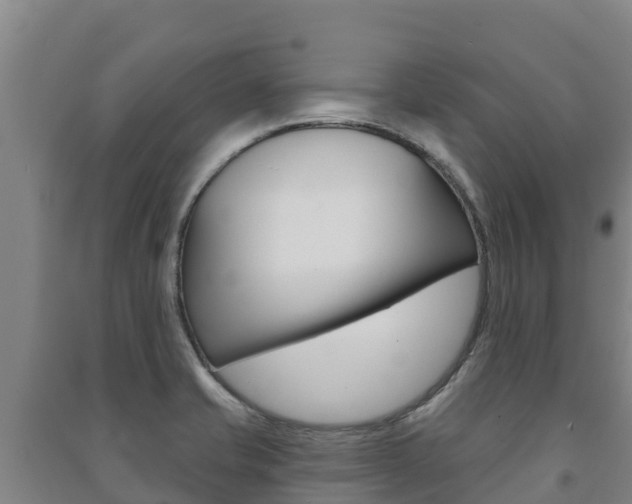 X0000091471421200708161118