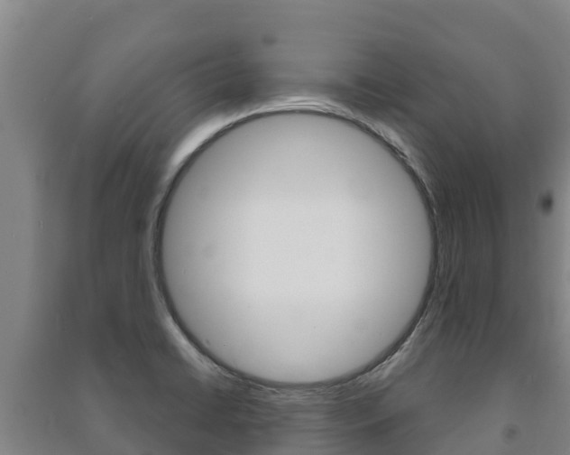 X0000091471422200708161118