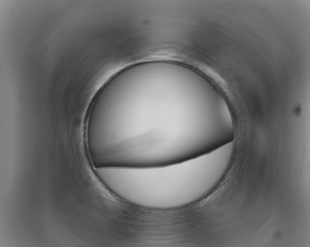 X0000091471423200708161118