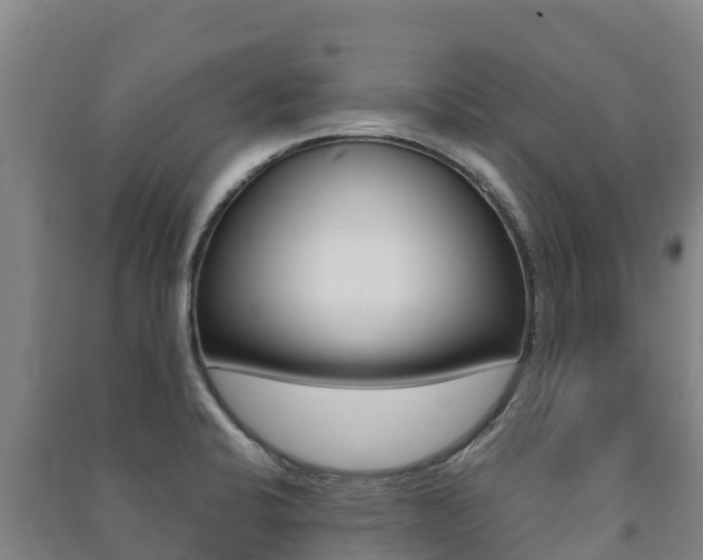 X0000091471424200708161118