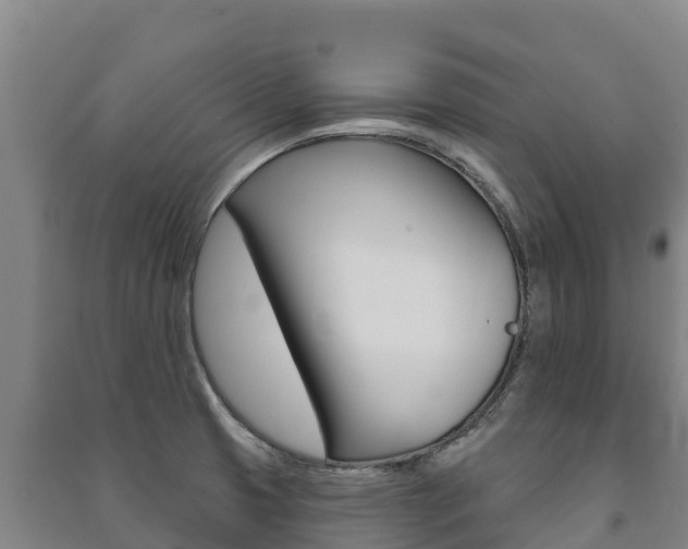 X0000091471425200708161118