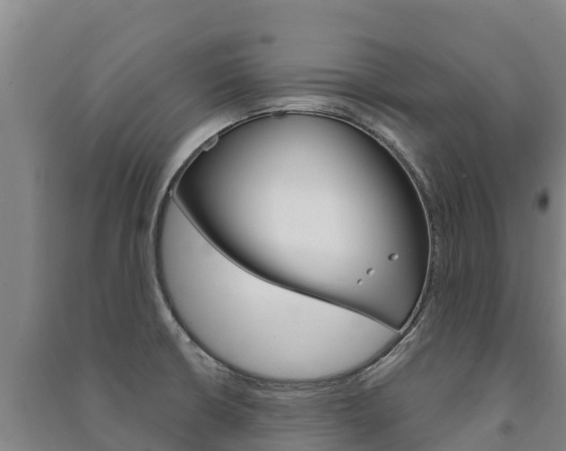 X0000091471426200708161118