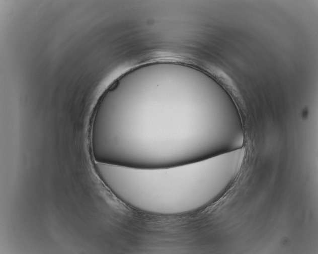 X0000091471427200708161118