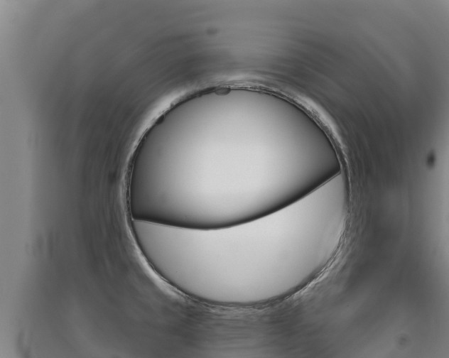 X0000091471429200708161118