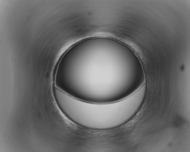 X0000091471430200708161118