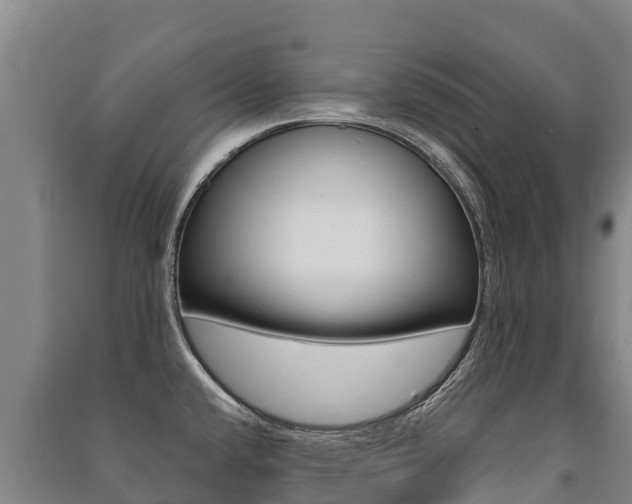 X0000091471432200708161118