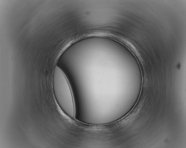 X0000091471433200708161118