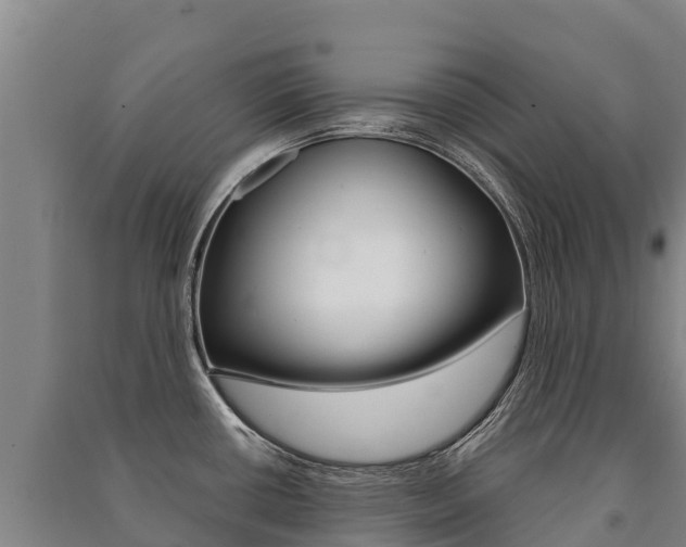 X0000091471434200708161118