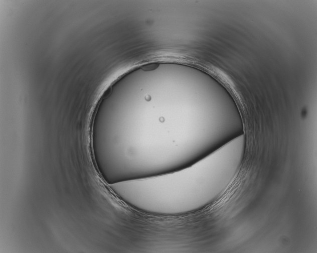 X0000091471435200708161118