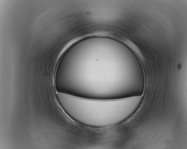 X0000091471436200708161118