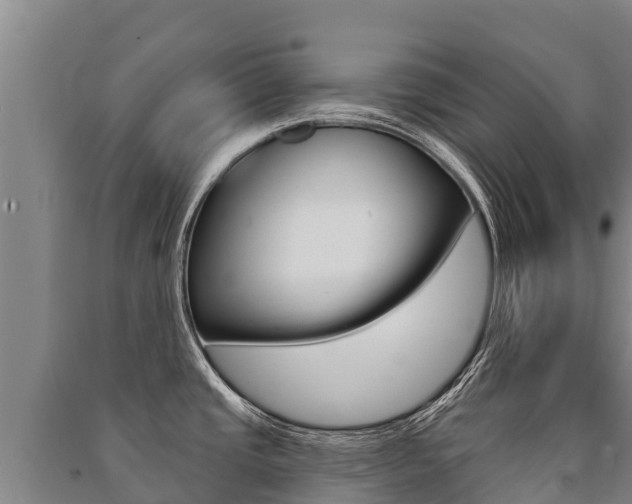 X0000091471437200708161118