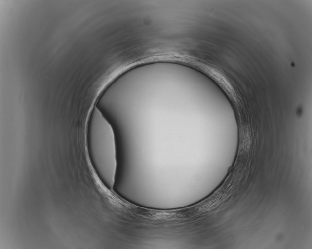 X0000091471439200708161118