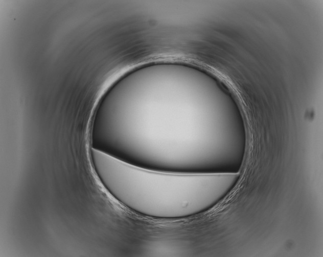 X0000091471440200708161119
