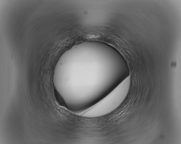 X0000091471441200708161118