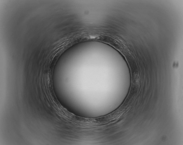 X0000091471442200708161118