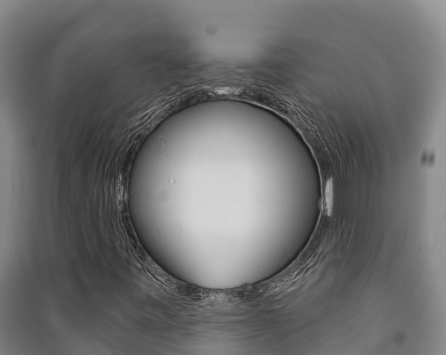 X0000091471443200708161118