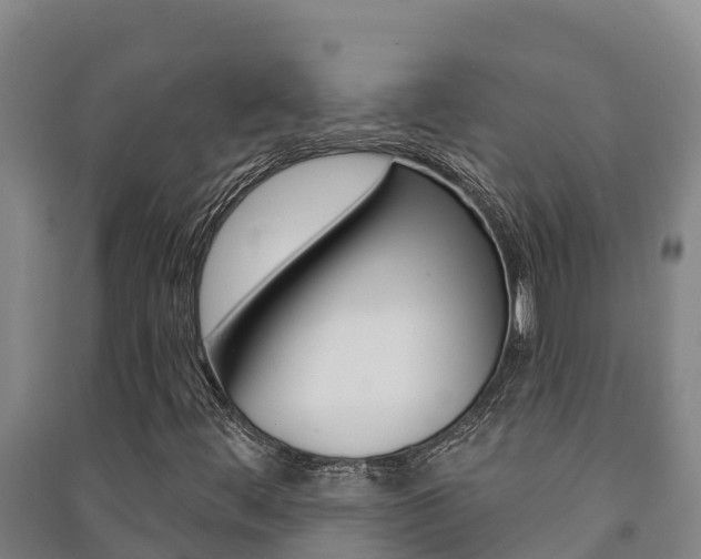 X0000091471444200708161118