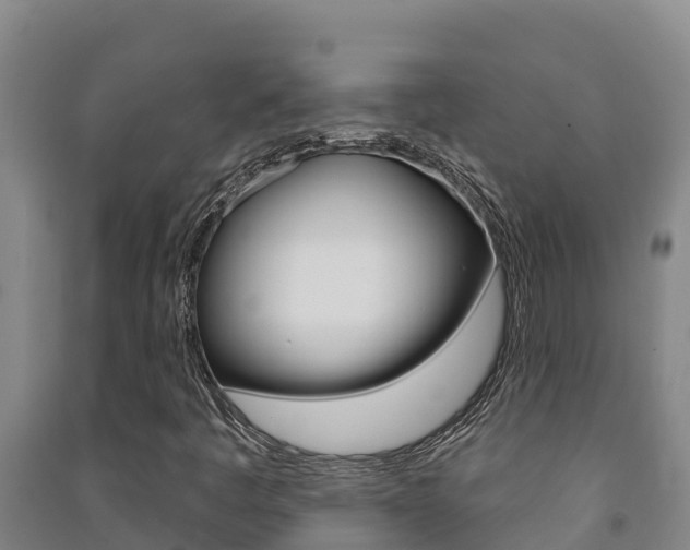 X0000091471445200708161118