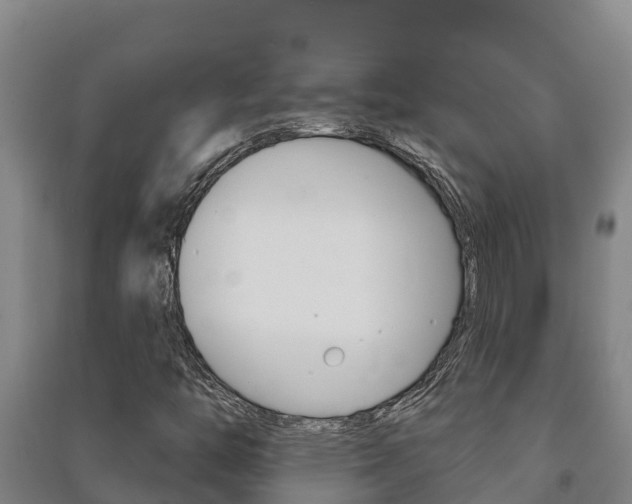 X0000091471446200708161118