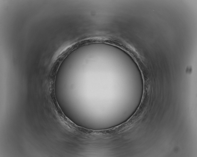 X0000091471448200708161118