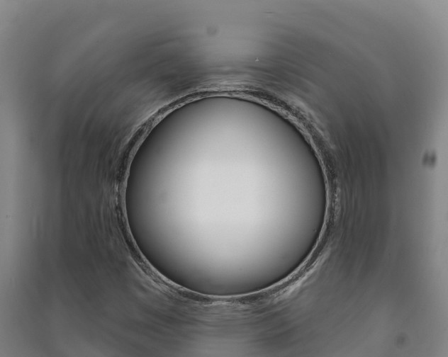 X0000091471449200708161118