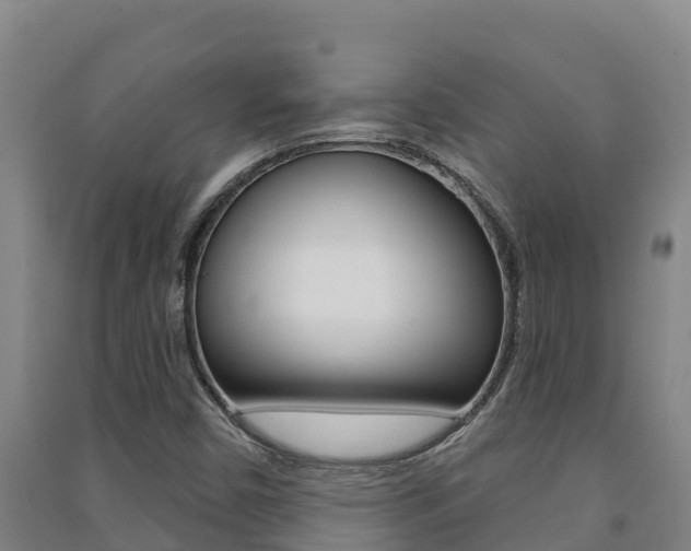 X0000091471450200708161118
