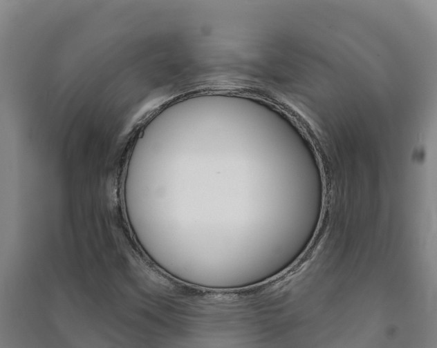 X0000091471451200708161118