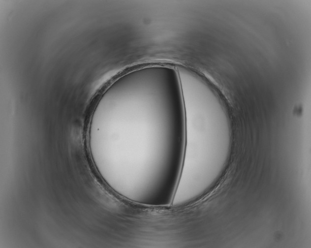 X0000091471452200708161118