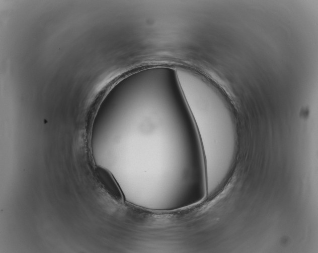 X0000091471453200708161118