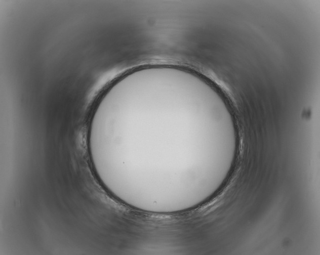 X0000091471454200708161118
