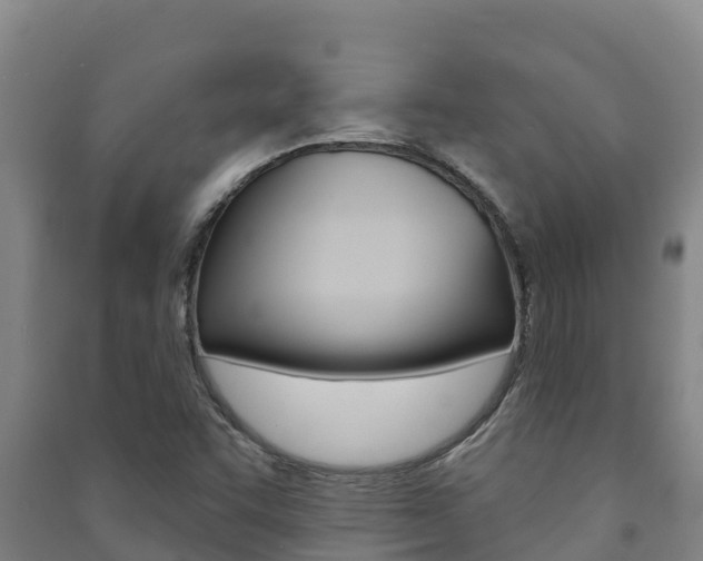 X0000091471455200708161118