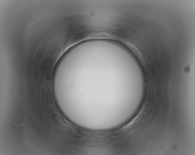 X0000091471457200708161118