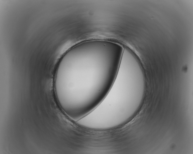 X0000091471459200708161118