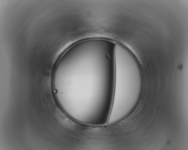 X0000091471460200708161118