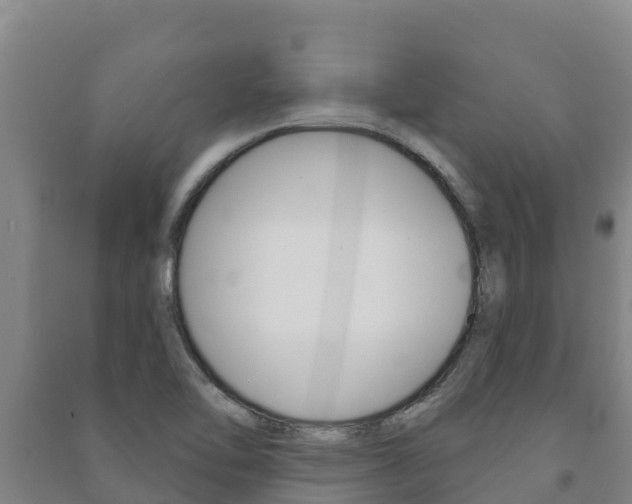 X0000091471462200708161118