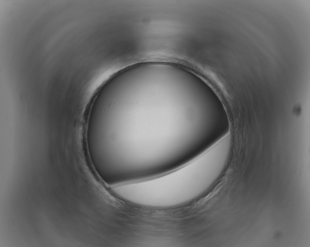 X0000091471463200708161118