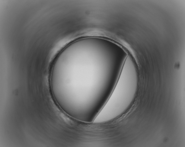 X0000091471464200708161118