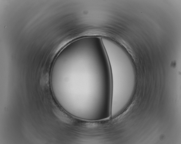 X0000091471465200708161118
