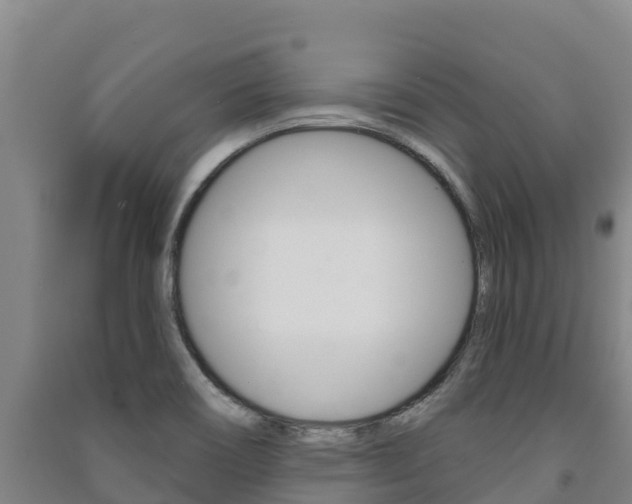 X0000091471466200708161118